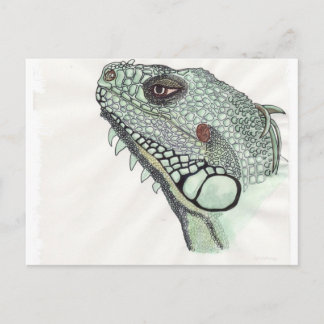 Cartão Postal Iguana