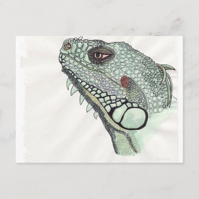 Cartão Postal Iguana (Frente)
