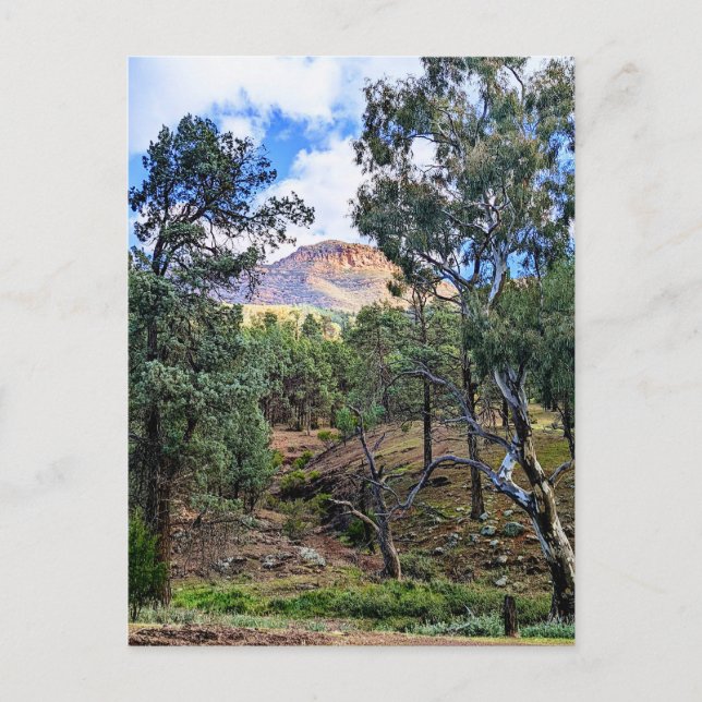 Cartão Postal Ikara-Flinders Ranges SA (Frente)