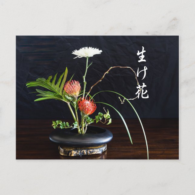 Cartão Postal Ikebana (Frente)