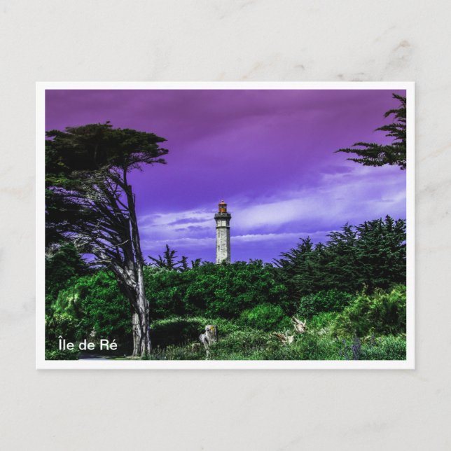 Cartão Postal Île de Ré France (Frente)
