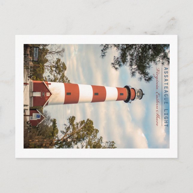 Cartão Postal Ilha Assateague. (Frente)