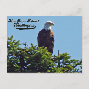 Cartão Postal Ilha Bald EagleSan Juan, Cartão-postal de Washingt