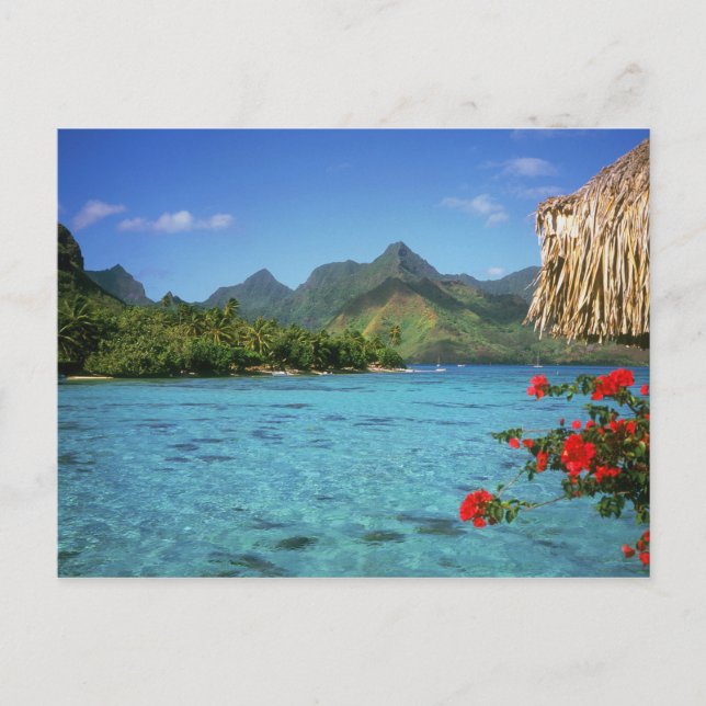 Cartão Postal Ilha Bora Bora, Polinésia Francesa (Frente)