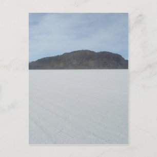 Cartão Postal Ilha Cactus