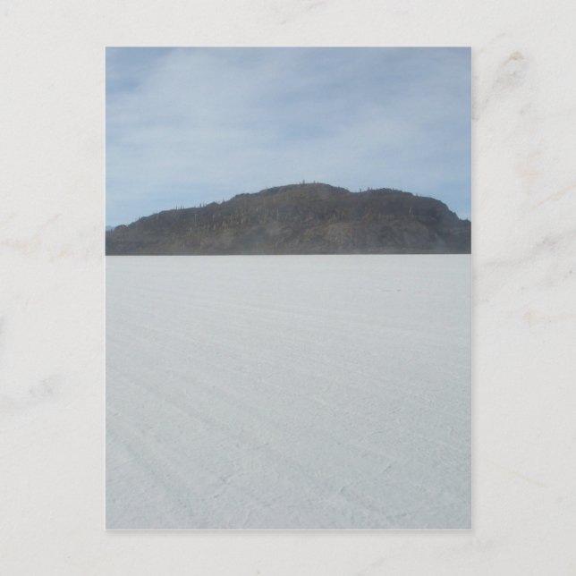 Cartão Postal Ilha Cactus (Frente)