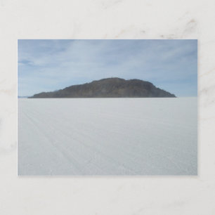 Cartão Postal Ilha Cactus