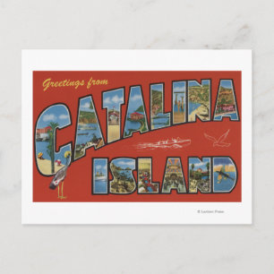 Cartão Postal Ilha Catalina, Califórnia - Cena Grande