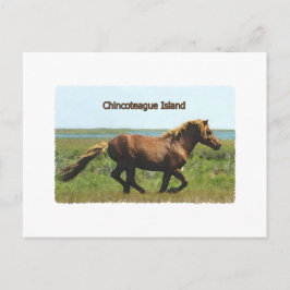 Cartão Postal Ilha Chincoteague (logotipo de garanhão em corrida