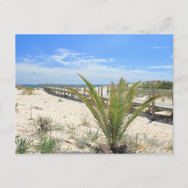 Cartão Postal Ilha de Tavira (Frente)