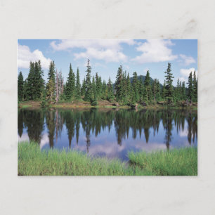 Cartão Postal Ilha de Vancouver, Parque Provincial de Strathcona