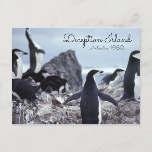 Cartão Postal Ilha do Decepção da Antártida dos Pinguins