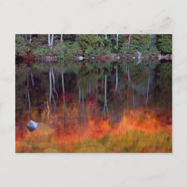 Cartão Postal Ilha do Deserto | Acadia National Park, Maine (Frente)