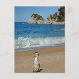 Cartão Postal Ilha do Sul da Nova Zelândia