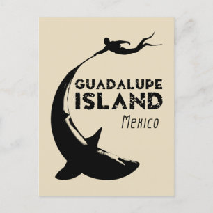 Cartão Postal Ilha Guadalupe México   Mergulho Com Tubarões