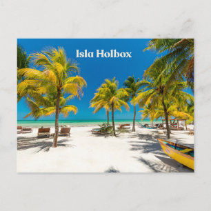 Cartão Postal Ilha Holbox México Praia Bonita com Palmeiras