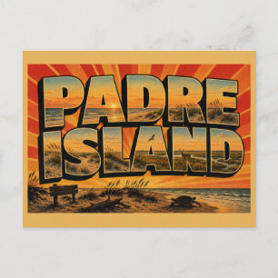 Cartão Postal Ilha Padre TX Praia Dunas Campos de Gramíneas Arte