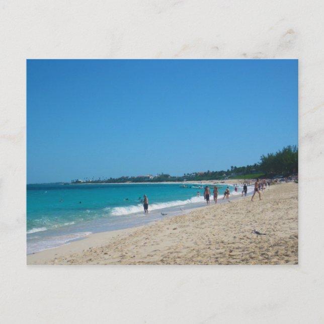 Cartão Postal Ilha Paradise (Frente)