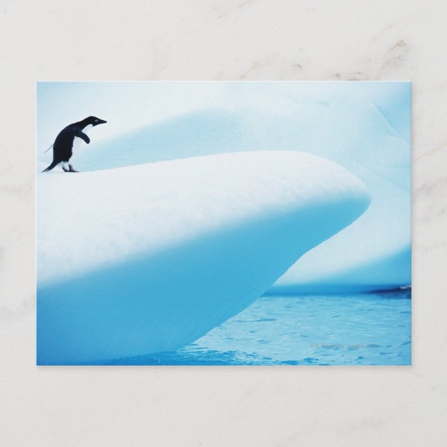 Cartão Postal Ilha Petermann, Antártica (Frente)