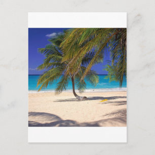 Cartão Postal Ilha Tropical Seven Mile Grand Cayman