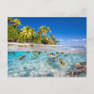 Cartão Postal Ilha Tropical sob e acima da água