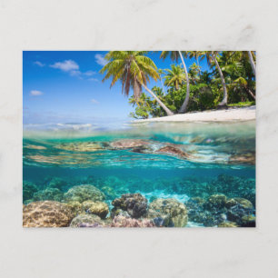 Cartão Postal Ilha Tropical sob e acima da água