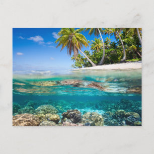 Cartão Postal Ilha Tropical sob e acima da água