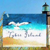 Ilha Tybee Georgia Seagull Soaring over Beach