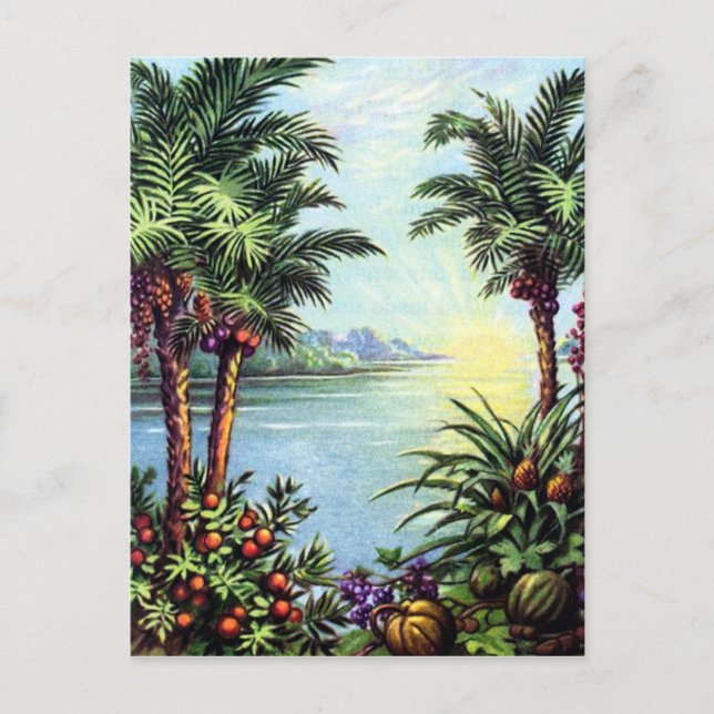 Cartão Postal Ilha Vintage (Frente)