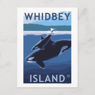 Cartão Postal Ilha Whidbey, Washington Orca e Calf