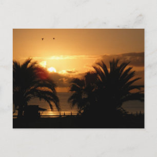 Cartão Postal Ilhas Canárias tropicais nascer do sol RIU