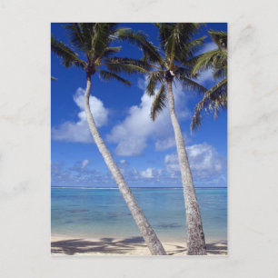 Cartão Postal Ilhas Cook de praia com Palm