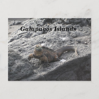 Cartão Postal Ilhas Galápagos