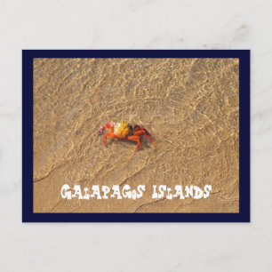 Cartão Postal Ilhas Galápagos