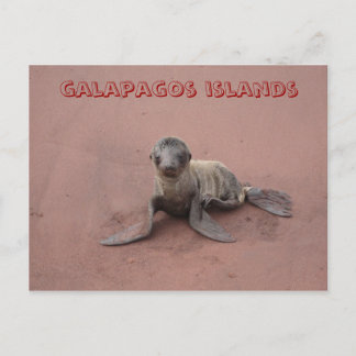 Cartão Postal Ilhas Galápagos