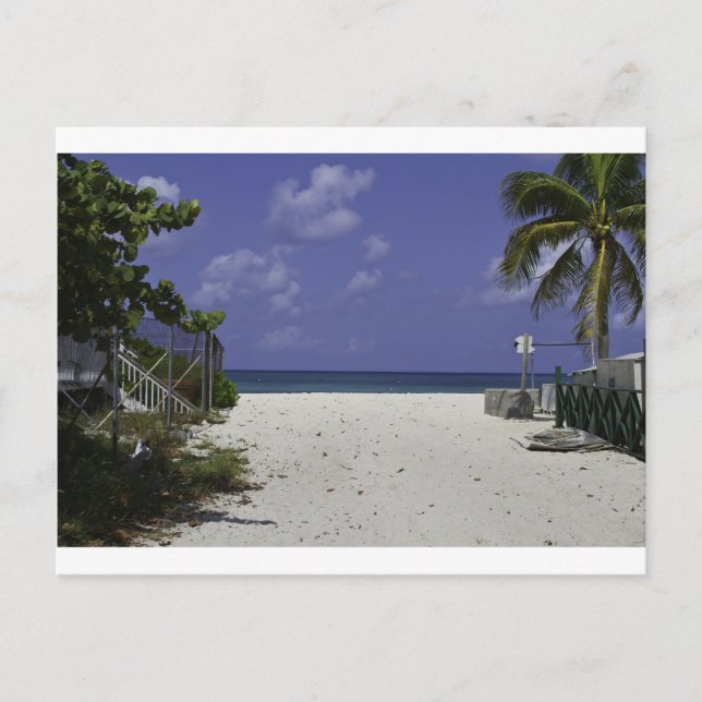 Cartão Postal Ilhas Grand Cayman (Frente)
