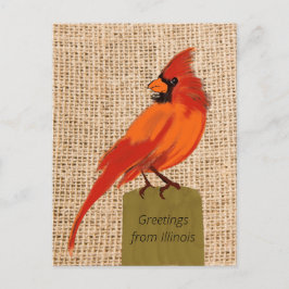 Cartão Postal Illinois State Bird
