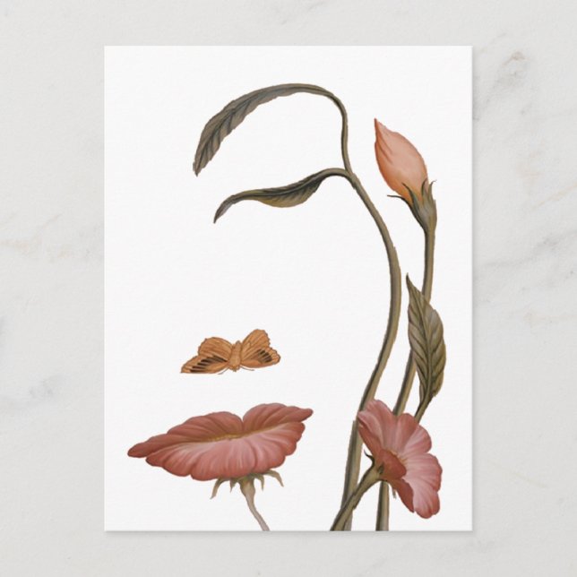 Cartão Postal Illusão da Flor Face (Frente)