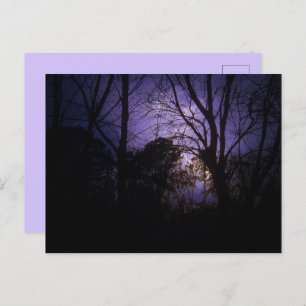 Cartão Postal Iluminação das árvores Cartão-postal