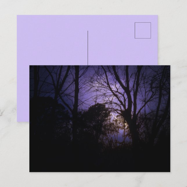 Cartão Postal Iluminação das árvores Cartão-postal (Frente/Verso)