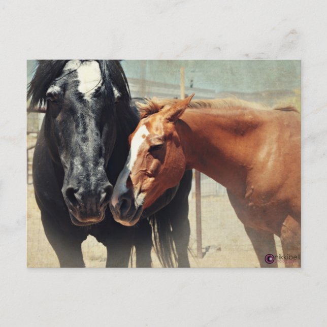 Cartão Postal Ilusão & precipitação (Frente)