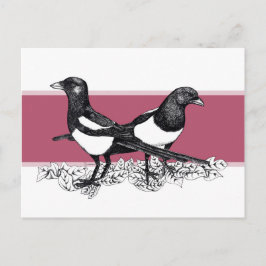 Cartão Postal Ilustração a preto e branco de Magpies