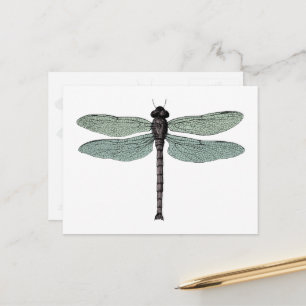 Cartão Postal Ilustração Antica De Dragonfly Vintage Typográfica