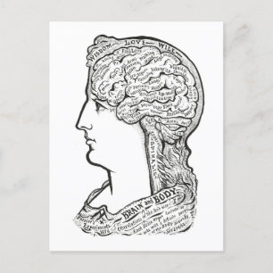 Cartão Postal Ilustração Antiga da Conexão entre Cérebro e Corpo