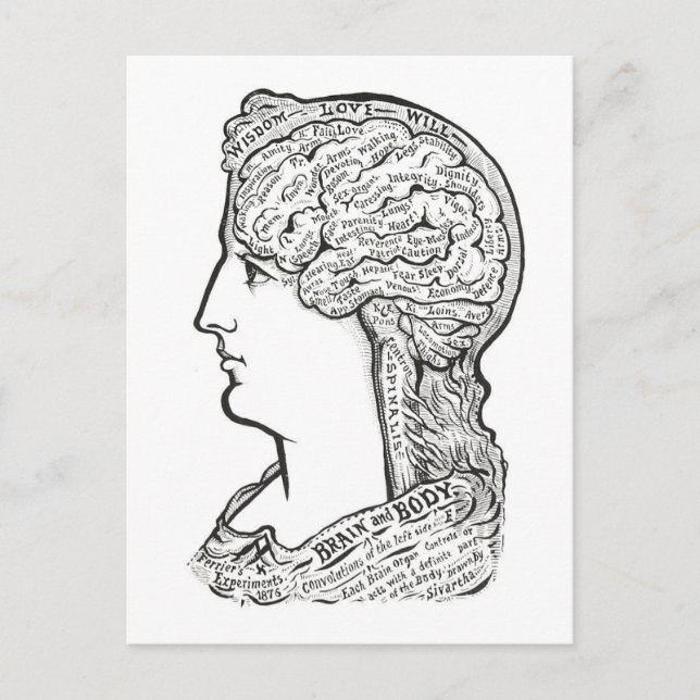 Cartão Postal Ilustração Antiga da Conexão entre Cérebro e Corpo (Frente)