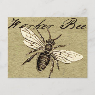 Cartão Postal Ilustração Antiga de Abelha Operária em Estilo Ant