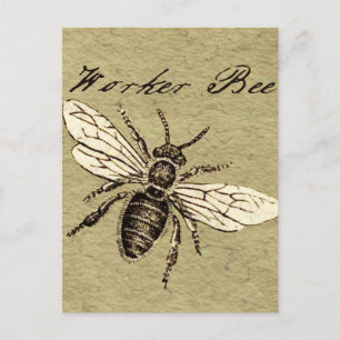 Cartão Postal Ilustração Antiga de Abelha Operária em Estilo Ant
