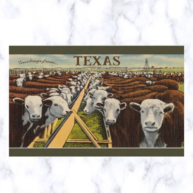 Cartão Postal Ilustração Antiga de Gado no Texas Central (Criador carregado)