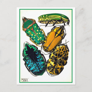 Cartão Postal Ilustração Art Nouveau Vintage de Besouros