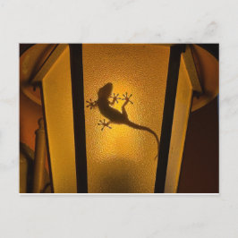 Cartão Postal Ilustração Artística de Lagarto